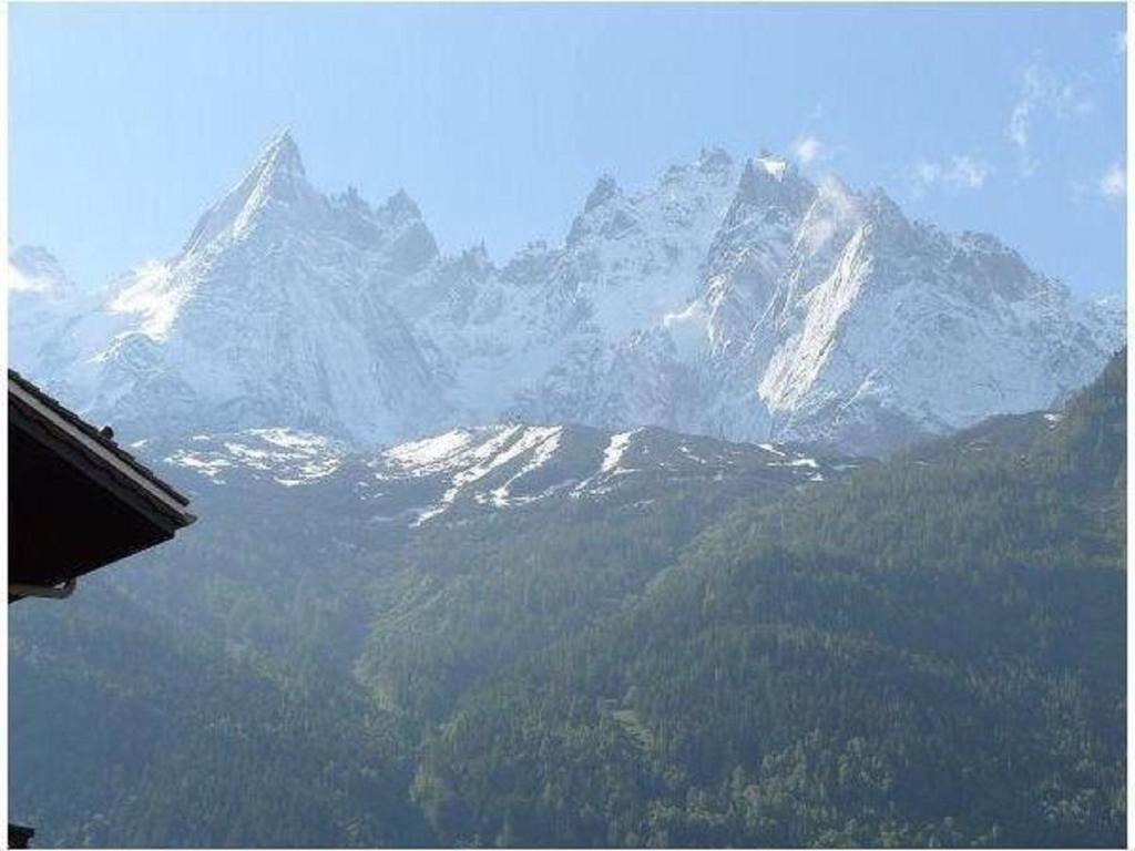 Apartment Clos Du Savoy Chamonix Ngoại thất bức ảnh